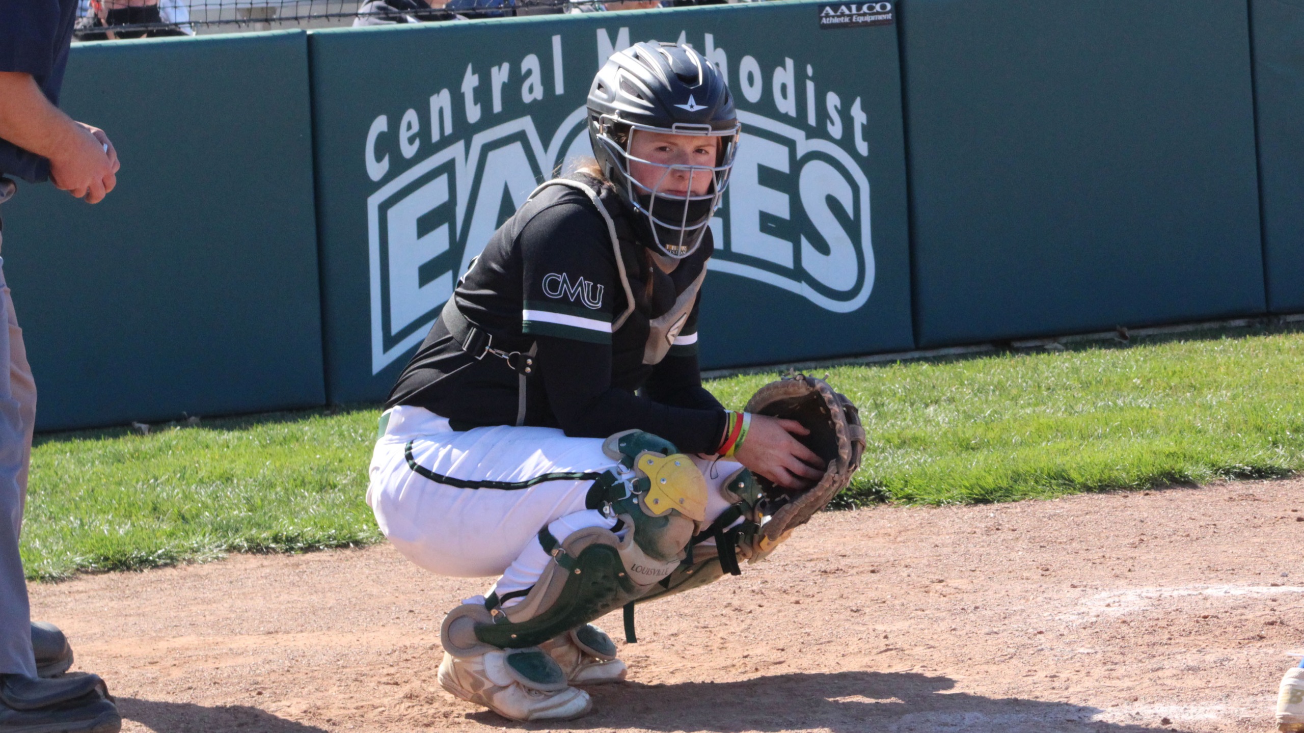Grand View takes two from CMU